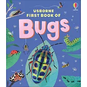 The Usborne First Book of Bugs