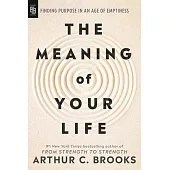 The Meaning of Your Life: Finding purpose in an Age of Emptiness