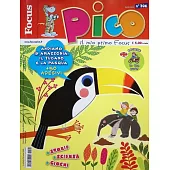 Focus Pico 4月號/2025