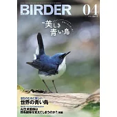 BIRDER 4月號/2025