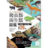 飼いたい種類が見つかる 爬虫類・両生類図鑑 人気種から希少種まで厳選120種