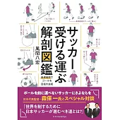 サッカー受ける運ぶ解剖図鑑