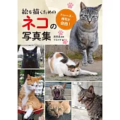 貓咪各式姿勢寫真資料集