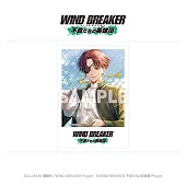 WIND BREAKER收藏卡不良英雄：蘇枋隼飛