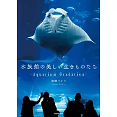 銀鏡Tsukasa攝影寫真集：水族館の美しい生きものたち－Aquarium Gradation－