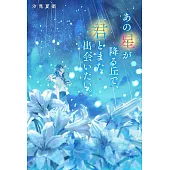 あの星が降る丘で、君とまた出会いたい。