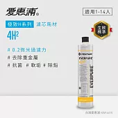 EVERPURE愛惠浦 4H2活性碳濾芯(DIY更換)可取代4KPLUS/BH2濾芯