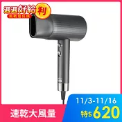 大家源 負離子大風量吹風機 TCY-160703