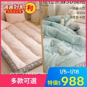 【Aibo】提拉米蘇3D綿絨韓國墊枕套組/韓國被-不分尺寸均一價 蜜桃桔-雙人