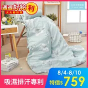 《DUYAN 竹漾》台灣製 Cool-Fi 奧地利天絲涼被 / 淺青花語