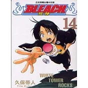 BLEACH 死神 14