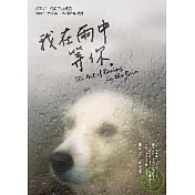 我在雨中等你