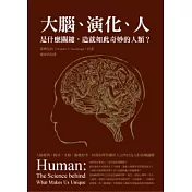 大腦、演化、人：是什麼關鍵，造就如此奇妙的人類？