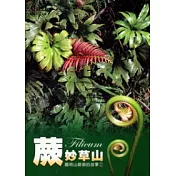 蕨妙草山
