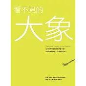 看不見的大象