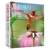 絕美展翅瞬間：鳥類飛行圖鑑