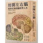 切開左右腦：葛詹尼加的腦科學人生