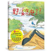 野溪怎麼了？