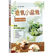造氧小盆栽踢走髒空氣