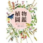 植物圖鑑 夏天
