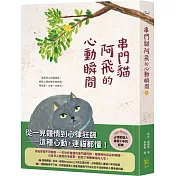 串門貓阿飛的心動瞬間