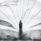 林凡 / 歲月這把刀