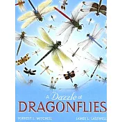 A Dazzle Of Dragonflies