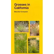Grasses in California.