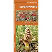 Mushrooms: A Folding Pocket Guide to Familiar North American Species