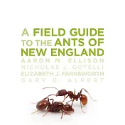 A Field Guide to the Ants of New England