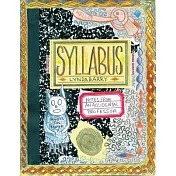 Syllabus: Notes from an Accidental Professor