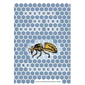 Anatomy of the Honey Bee