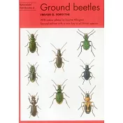 Ground beetles