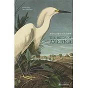 The Birds of America
