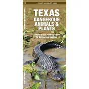 Texas Dangerous Animals & Plants: A Folding Pocket Guide to Dangerous Species