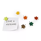 QUALY 落葉捎息-磁鐵共6色