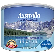 【vilson 米森】澳洲湖鹽 (300g / 罐)