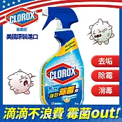 美國CLOROX 高樂氏浴室除霉清潔泡沫噴劑(473ml)