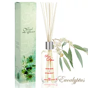 法國天然香氛水竹精油100ml-香水尤加利