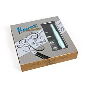 德國KAWECO Calligraphy系列藝術書法鋼筆 組/ 薄荷綠