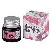 SKB彩墨集鋼筆墨水25ml赭梅