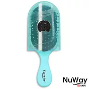 【施魔梳】旅行款專業梳 (5色任選)綠色