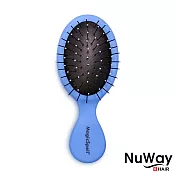 【施魔梳】迷你款專業梳 (8色任選)螢光藍