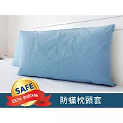 PUSHCO-防蟎枕頭套一入