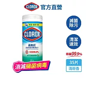 【Clorox 高樂氏】居家清潔殺菌濕紙巾-清新香35片(廚房去汙/環境消毒/消滅流感腸菌病毒/無酒精) 清新香/35片裝