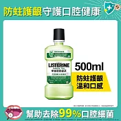 李施德霖綠茶防蛀護齦漱口水500ml