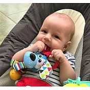 以色列 Yookidoo- 音樂小狗好棒棒