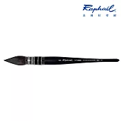 法國拉斐爾 Raphael 805 SOFTAQUA 雙倍吸水尼龍毛 水彩筆 法式筆桿6號