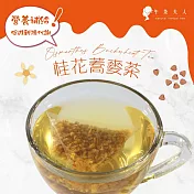 【午茶夫人】桂花蕎麥茶-10入/袋