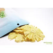 【mr.Honesty 誠實先生】天然手工烤焙鳳梨乾(80克)